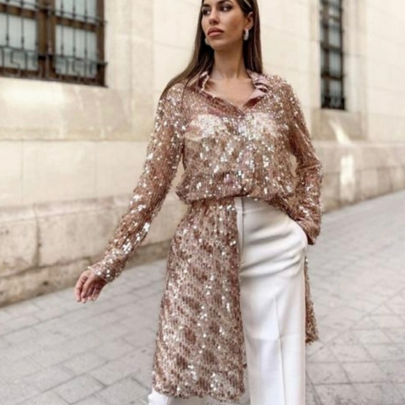 ZARA semi sheer sequin button up shirt dress - Picture 6 of 14